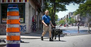 Personne aveugle qui se déplace dans une rue avec un chien guide