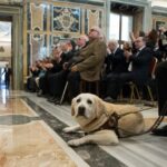 Rencontre du pape avec des malvoyants