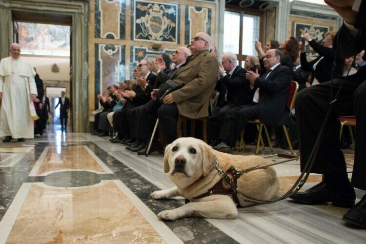 Rencontre du pape avec des malvoyants